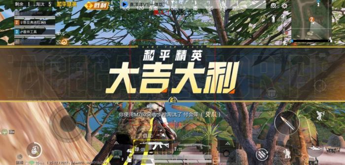 和平精英辅助器灯神怎么开（和平精英辅助器怎么放）